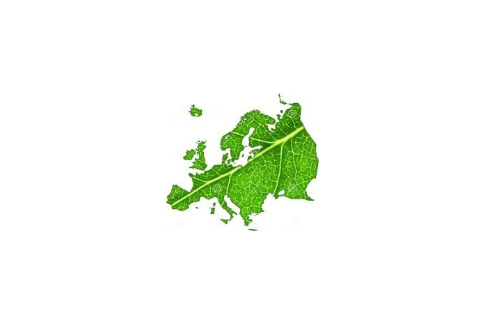 DECARBONIZZAZIONE DELL'EUROPA
